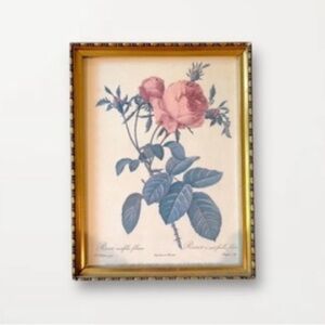 VTG Framed Pierre-Joseph Redouté Les Roses Lithograph Rosa Centifolia Foliacea